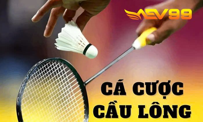 Giới thiệu về cá cược cầu lông online tại AEV99 Giới thiệu về cá cược cầu lông online tại AEV99